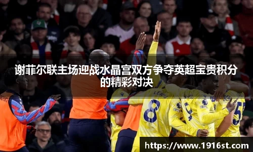 谢菲尔联主场迎战水晶宫双方争夺英超宝贵积分的精彩对决